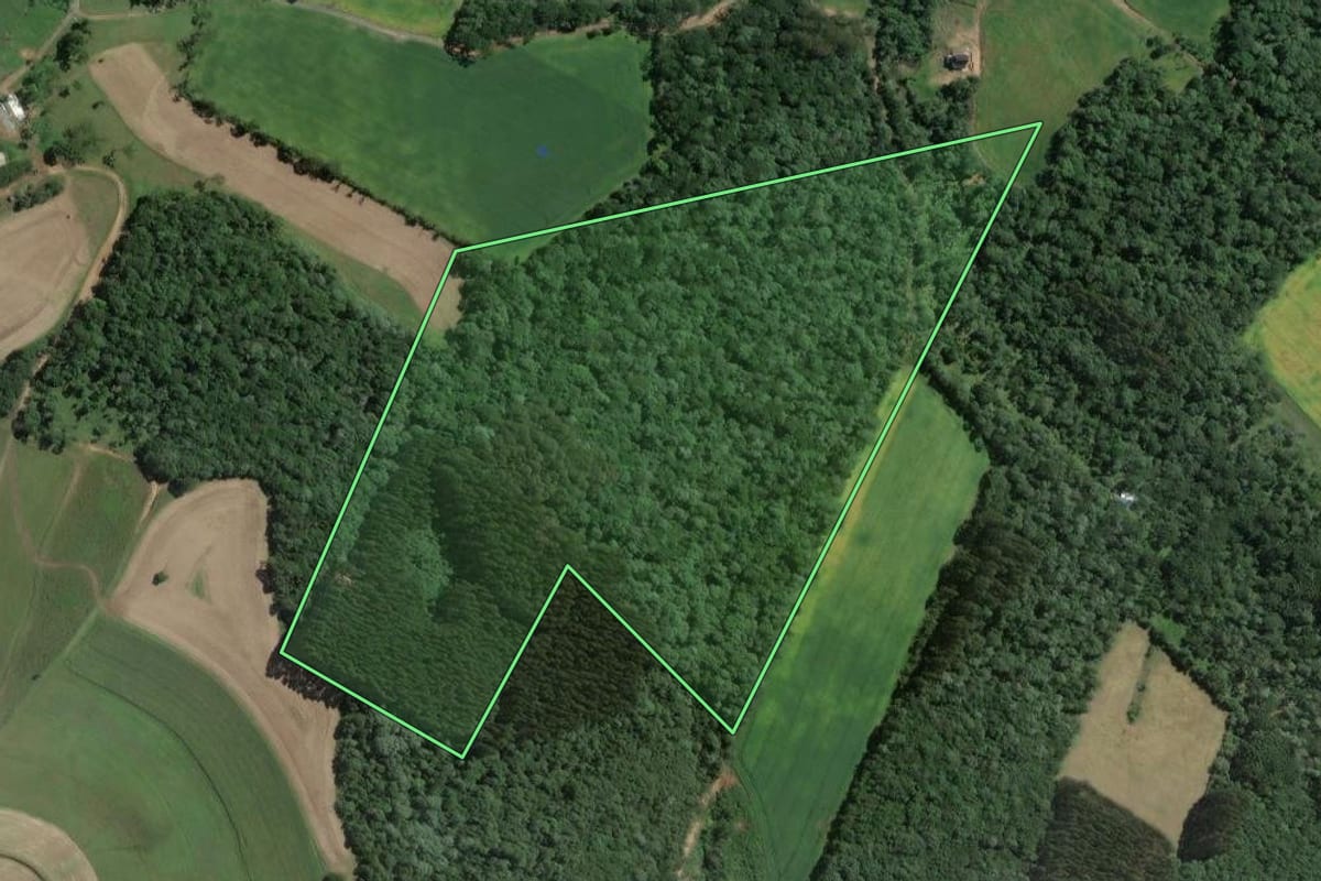 Imagem de satélite do imóvel rural em Itaiópolis (SC), com o contorno declarado no CAR desenhado por cima.