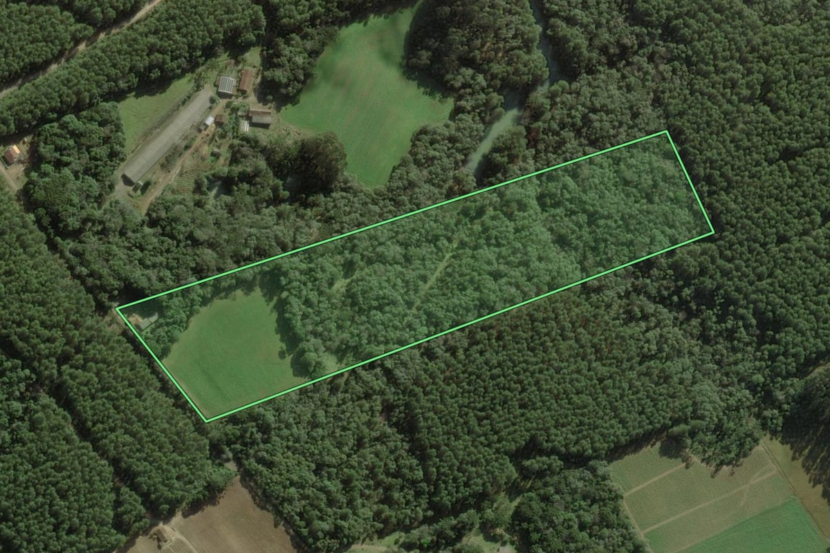 Imagem de satélite do imóvel rural em Itaiópolis (SC), com o contorno declarado no CAR desenhado por cima.