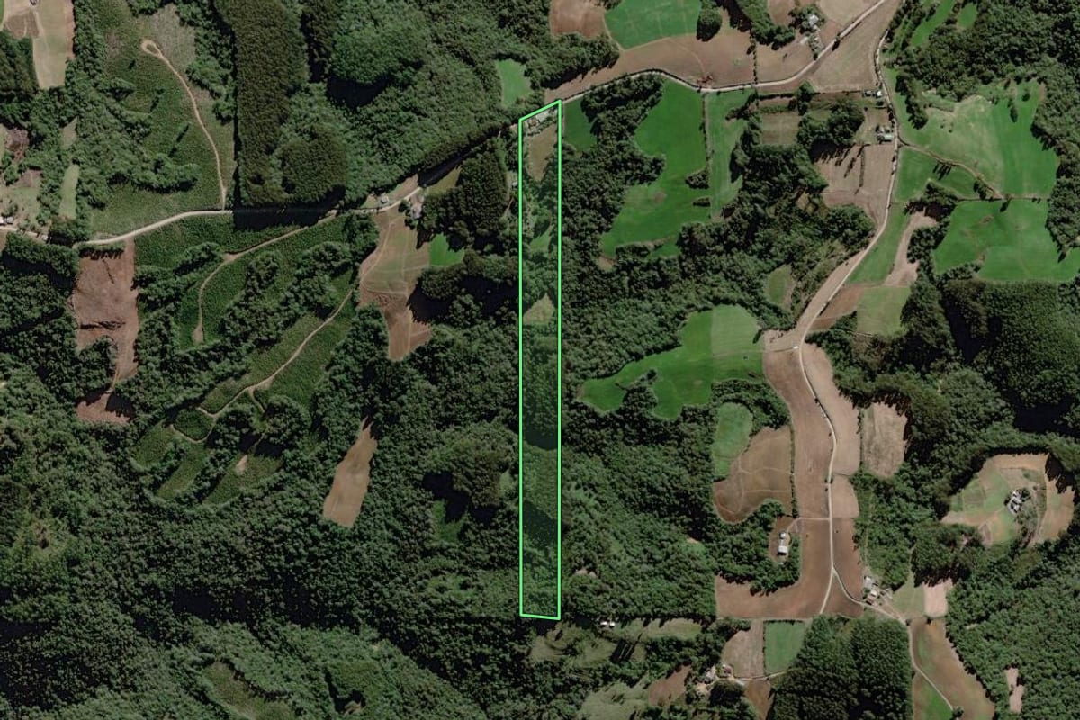 Imagem de satélite do imóvel rural em Itaiópolis (SC), com o contorno declarado no CAR desenhado por cima.