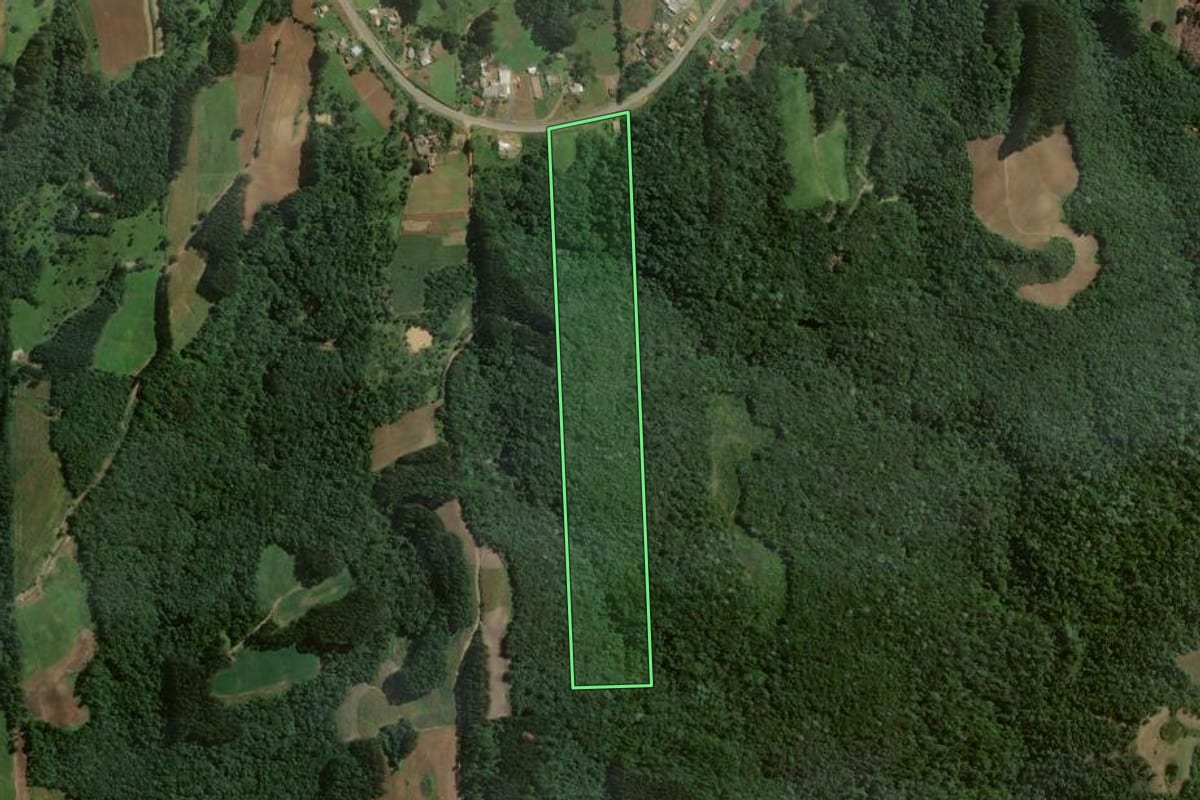 Imagem de satélite do imóvel rural em Itaiópolis (SC), com o contorno declarado no CAR desenhado por cima.