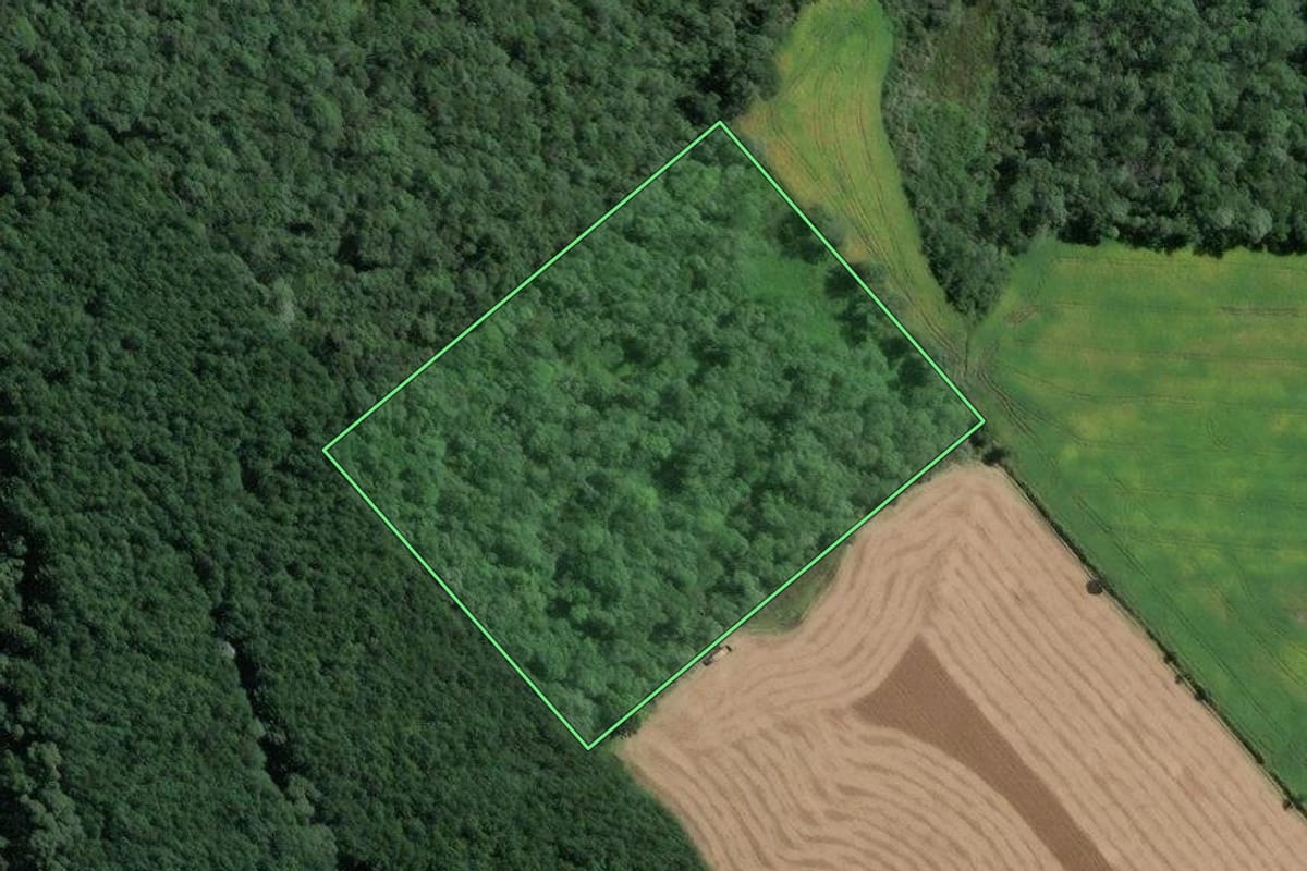 Imagem de satélite do imóvel rural em Itaiópolis (SC), com o contorno declarado no CAR desenhado por cima.