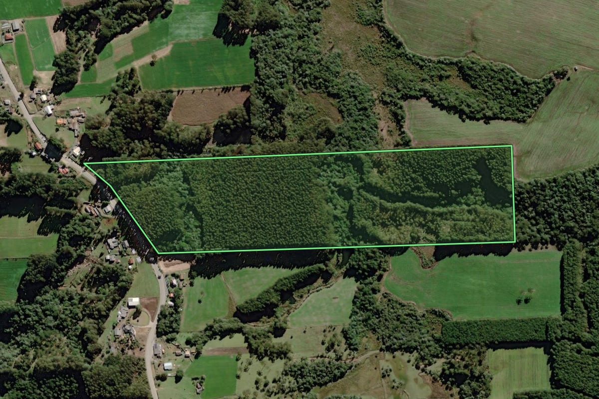 Imagem de satélite do imóvel rural em Itaiópolis (SC), com o contorno declarado no CAR desenhado por cima.