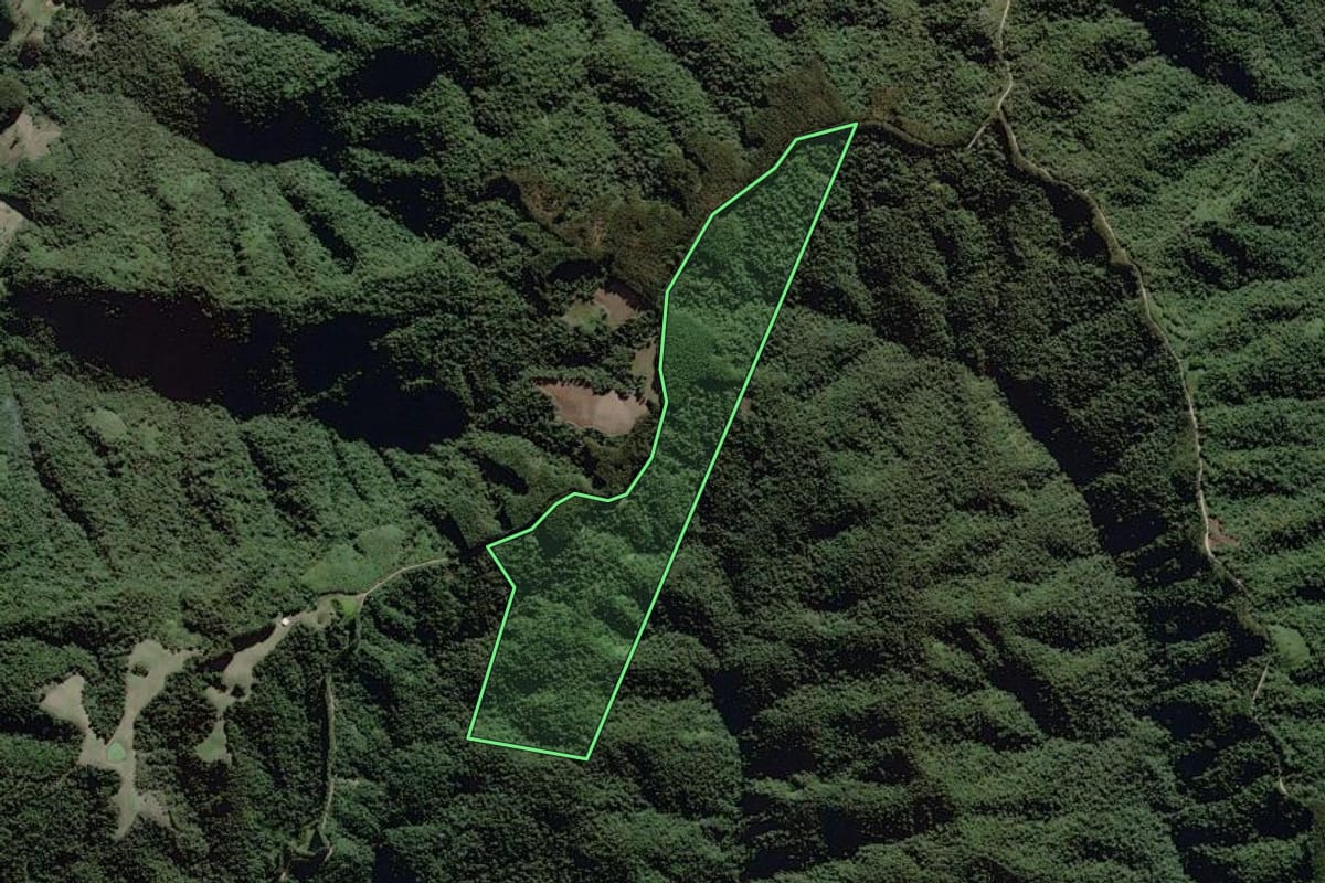 Imagem de satélite do imóvel rural em Itaiópolis (SC), com o contorno declarado no CAR desenhado por cima.