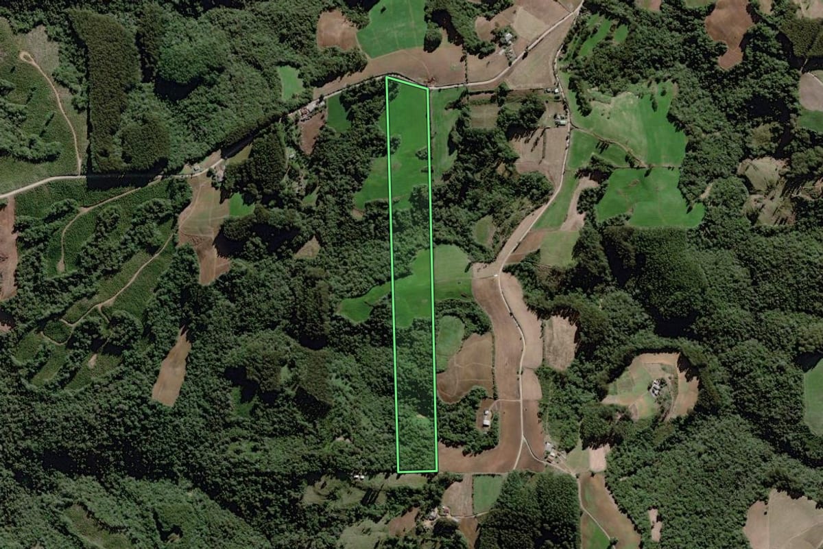 Imagem de satélite do imóvel rural em Itaiópolis (SC), com o contorno declarado no CAR desenhado por cima.