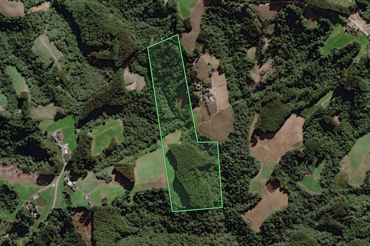 Imagem de satélite do imóvel rural em Itaiópolis (SC), com o contorno declarado no CAR desenhado por cima.