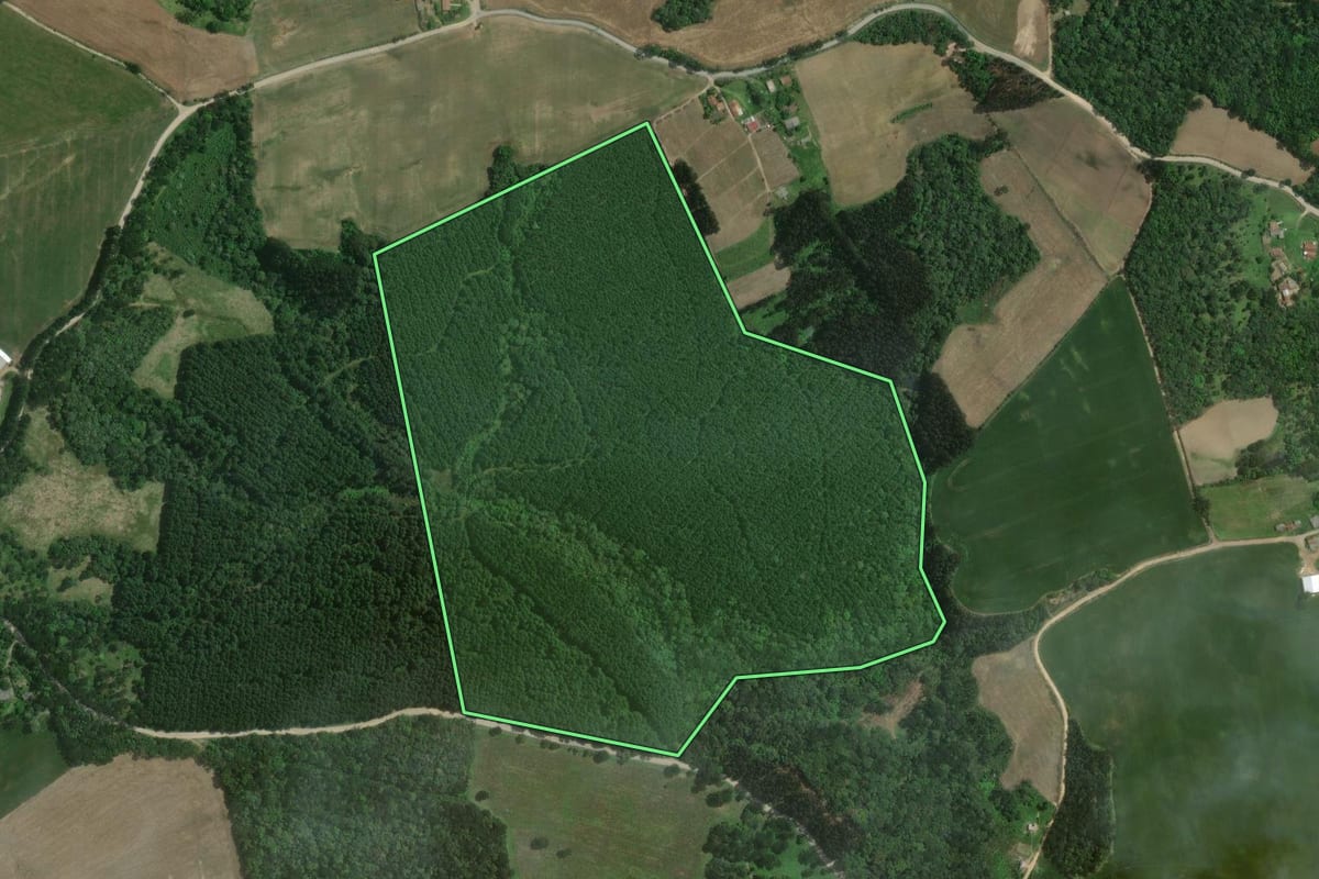 Imagem de satélite do imóvel rural em Itaiópolis (SC), com o contorno declarado no CAR desenhado por cima.
