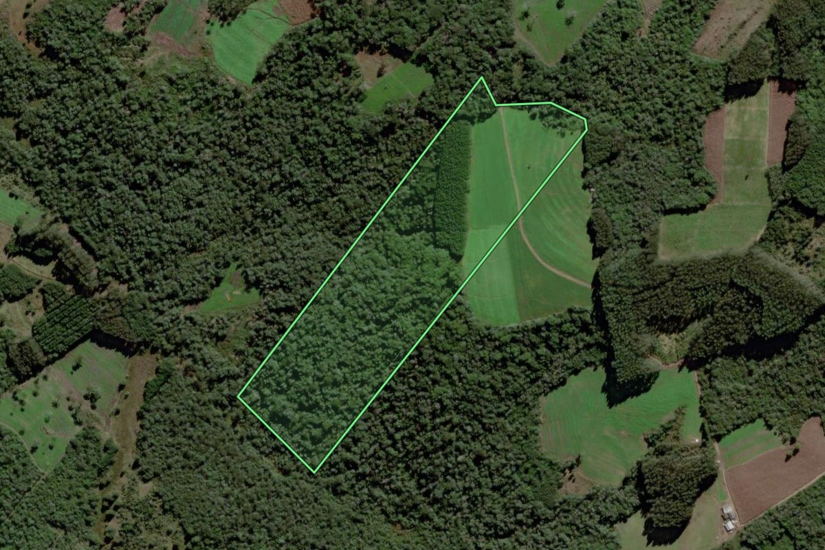 Imagem de satélite do imóvel rural em Itaiópolis (SC), com o contorno declarado no CAR desenhado por cima.