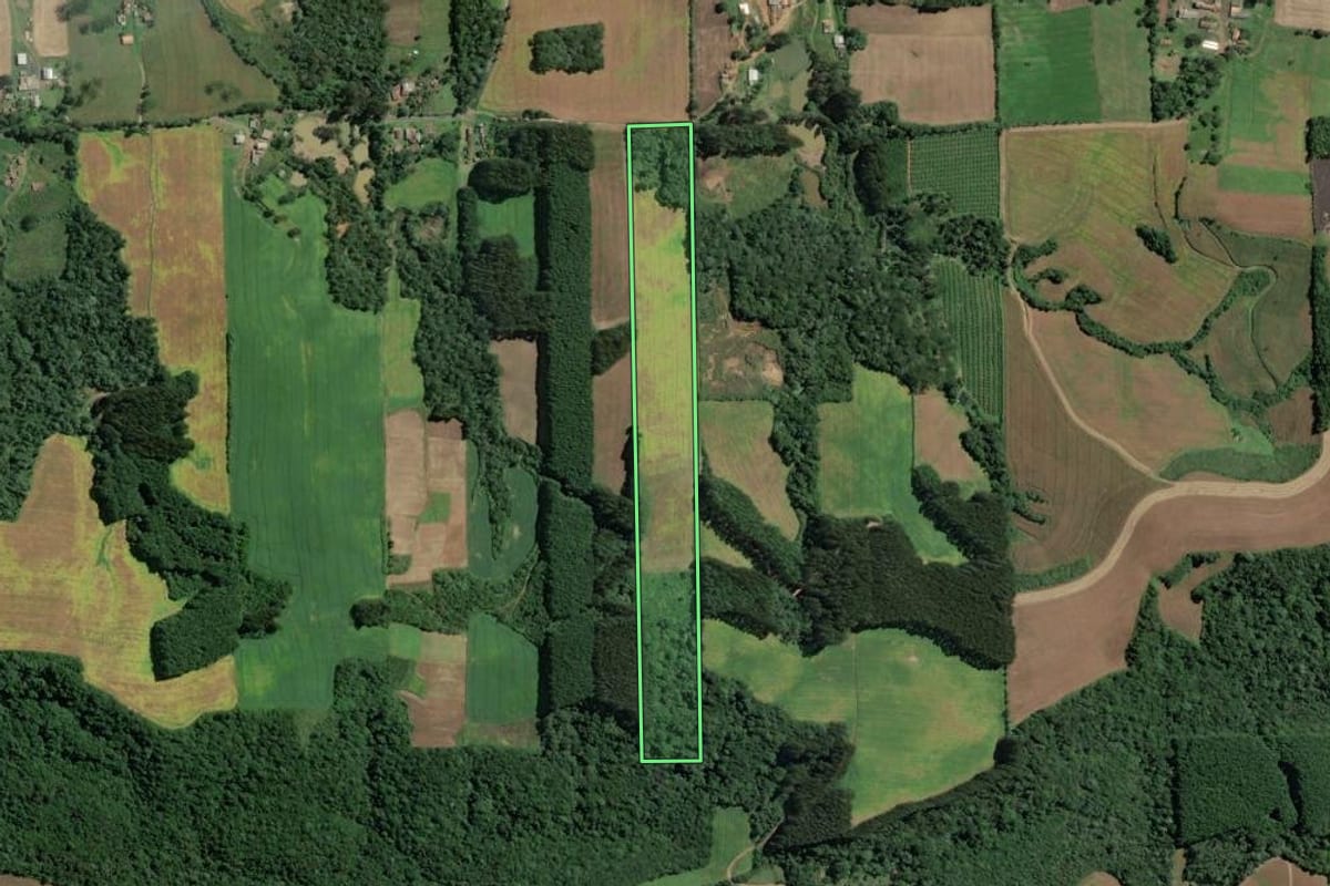 Imagem de satélite do imóvel rural em Itaiópolis (SC), com o contorno declarado no CAR desenhado por cima.