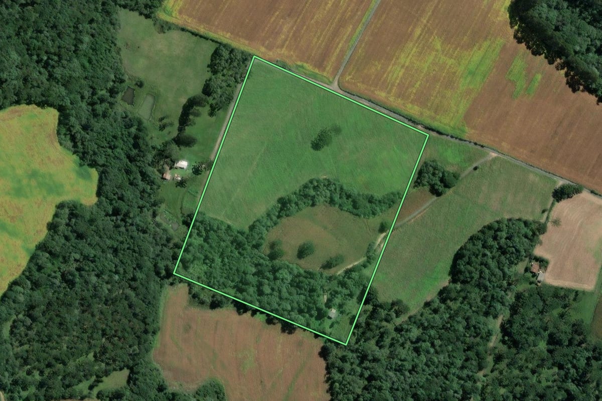 Imagem de satélite do imóvel rural em Itaiópolis (SC), com o contorno declarado no CAR desenhado por cima.