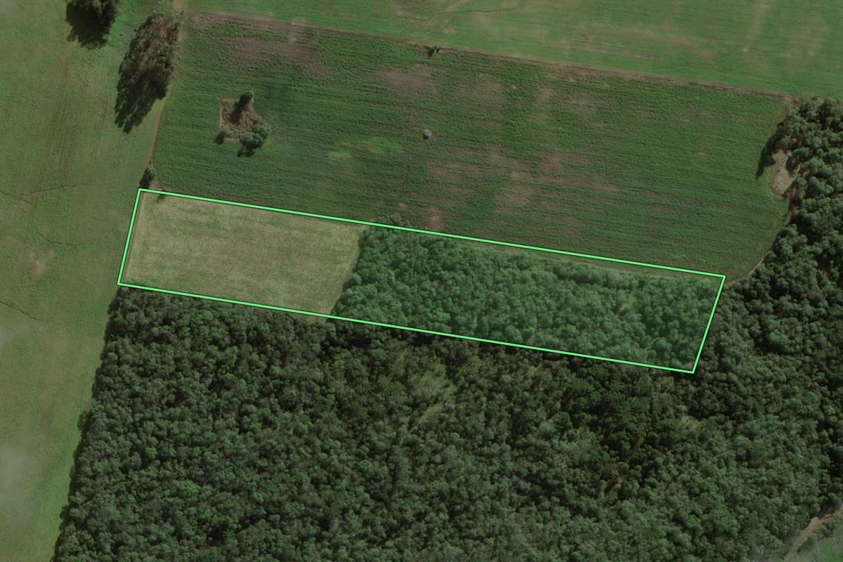 Imagem de satélite do imóvel rural em Itaiópolis (SC), com o contorno declarado no CAR desenhado por cima.