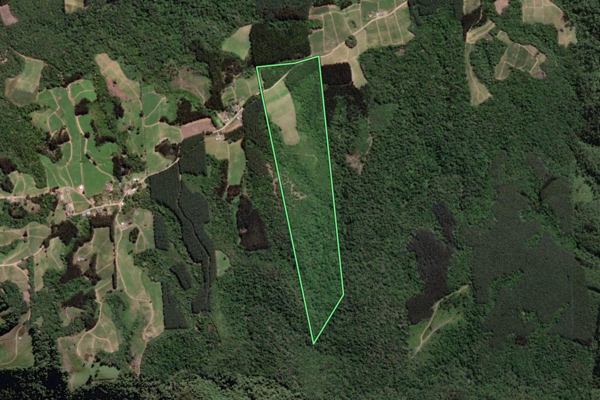 Imagem de satélite do imóvel rural em Itaiópolis (SC), com o contorno declarado no CAR desenhado por cima.