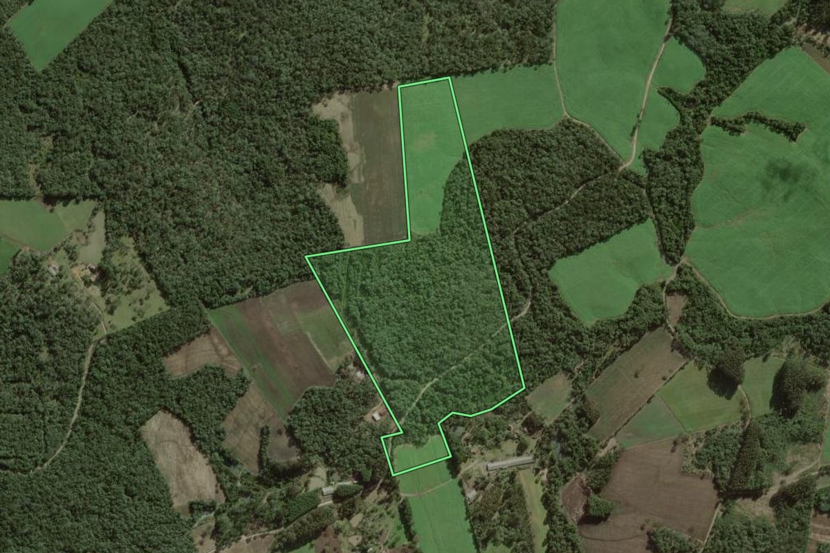 Imagem de satélite do imóvel rural em Itaiópolis (SC), com o contorno declarado no CAR desenhado por cima.