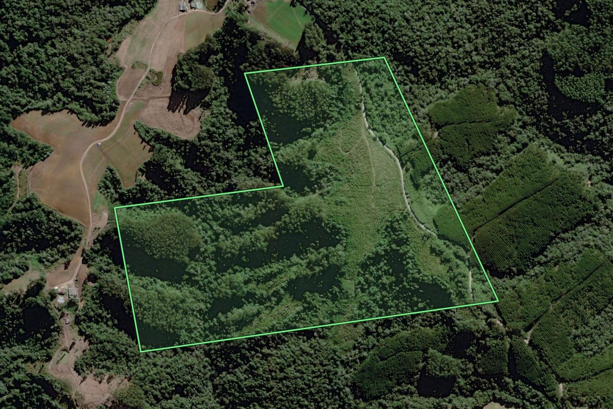 Imagem de satélite do imóvel rural em Itaiópolis (SC), com o contorno declarado no CAR desenhado por cima.