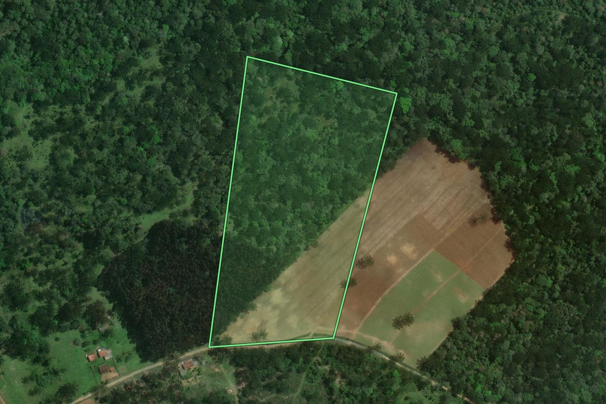 Imagem de satélite do imóvel rural em Itaiópolis (SC), com o contorno declarado no CAR desenhado por cima.