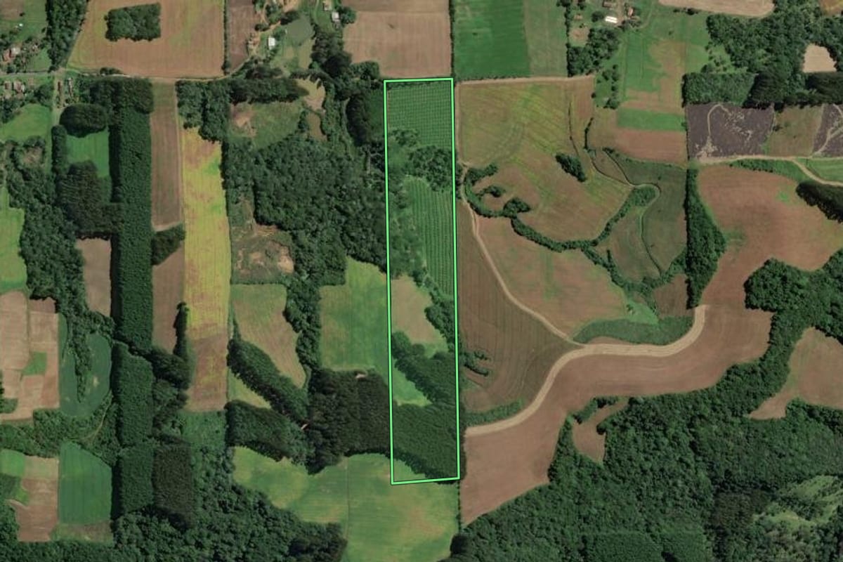 Imagem de satélite do imóvel rural em Itaiópolis (SC), com o contorno declarado no CAR desenhado por cima.