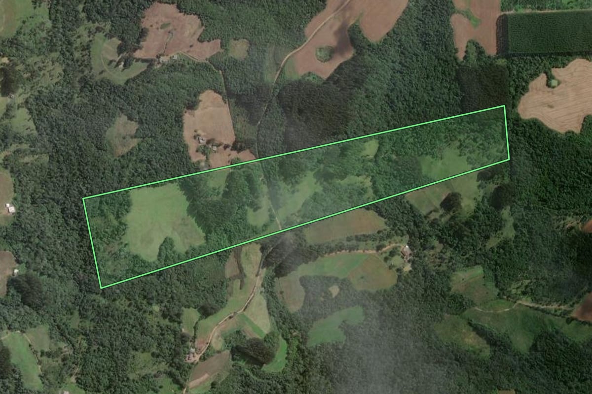 Imagem de satélite do imóvel rural em Itaiópolis (SC), com o contorno declarado no CAR desenhado por cima.