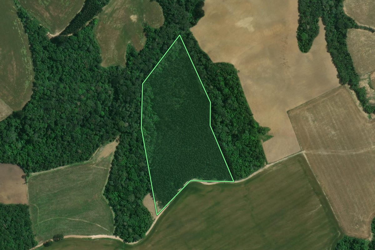 Imagem de satélite do imóvel rural em Itaiópolis (SC), com o contorno declarado no CAR desenhado por cima.