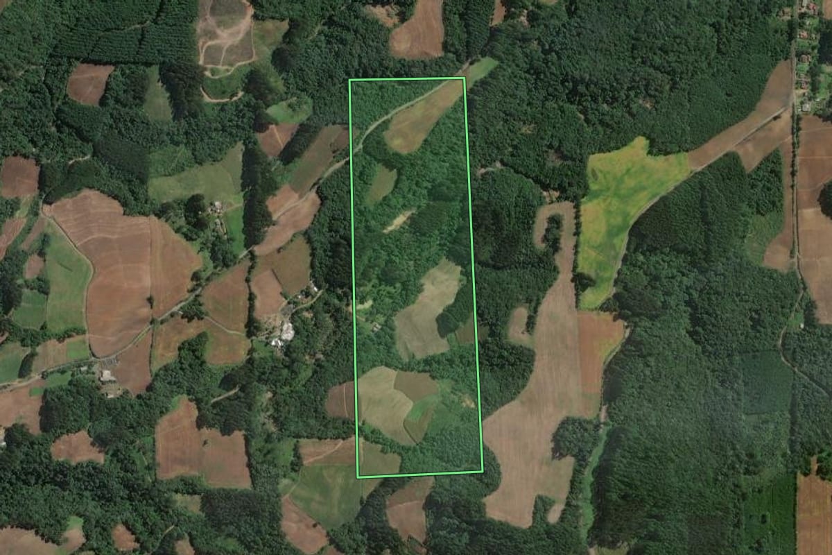 Imagem de satélite do imóvel rural em Itaiópolis (SC), com o contorno declarado no CAR desenhado por cima.