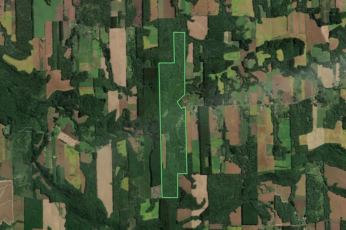 Imagem de satélite do imóvel rural em Itaiópolis (SC), com o contorno declarado no CAR desenhado por cima.