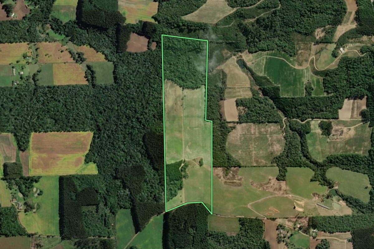 Imagem de satélite do imóvel rural em Itaiópolis (SC), com o contorno declarado no CAR desenhado por cima.