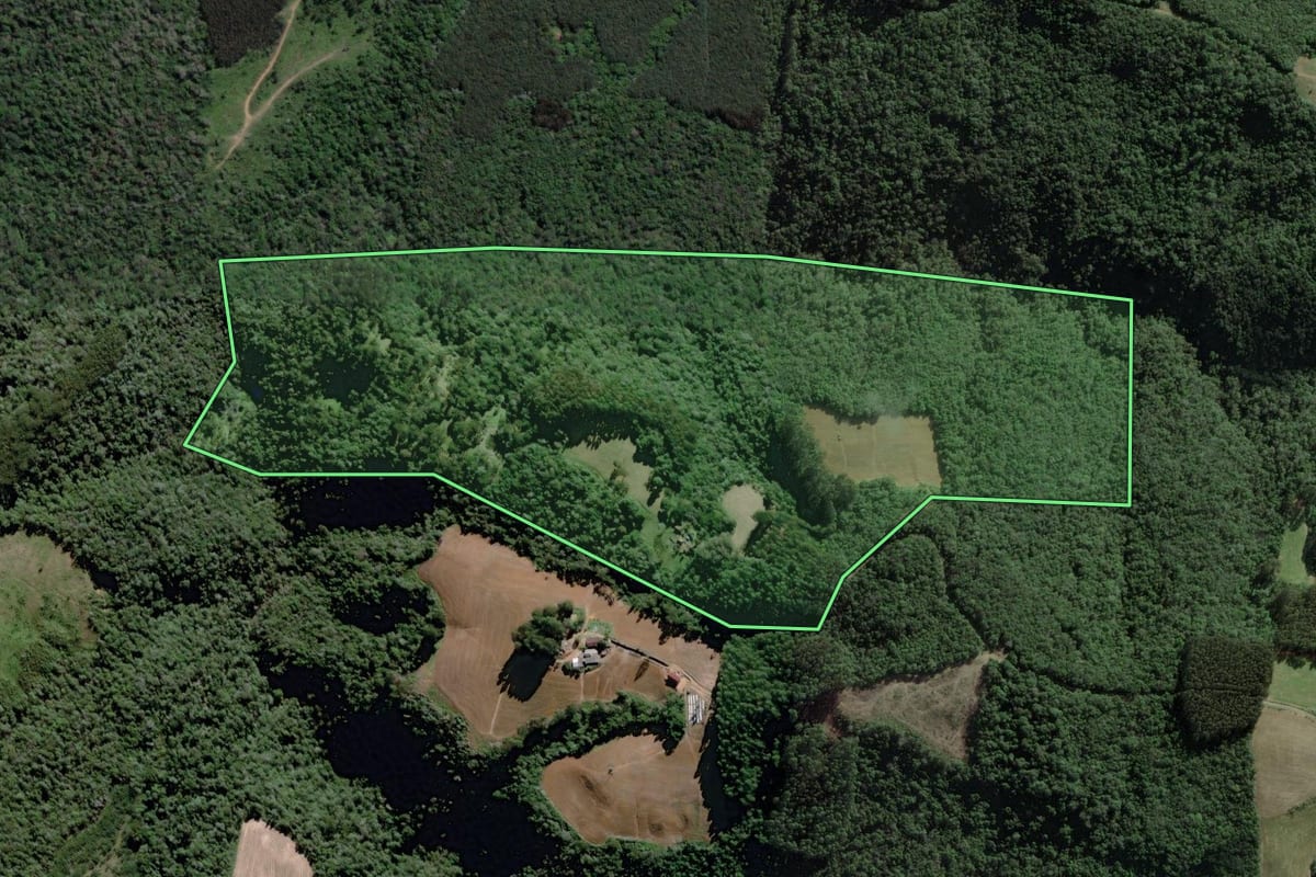 Imagem de satélite do imóvel rural em Itaiópolis (SC), com o contorno declarado no CAR desenhado por cima.