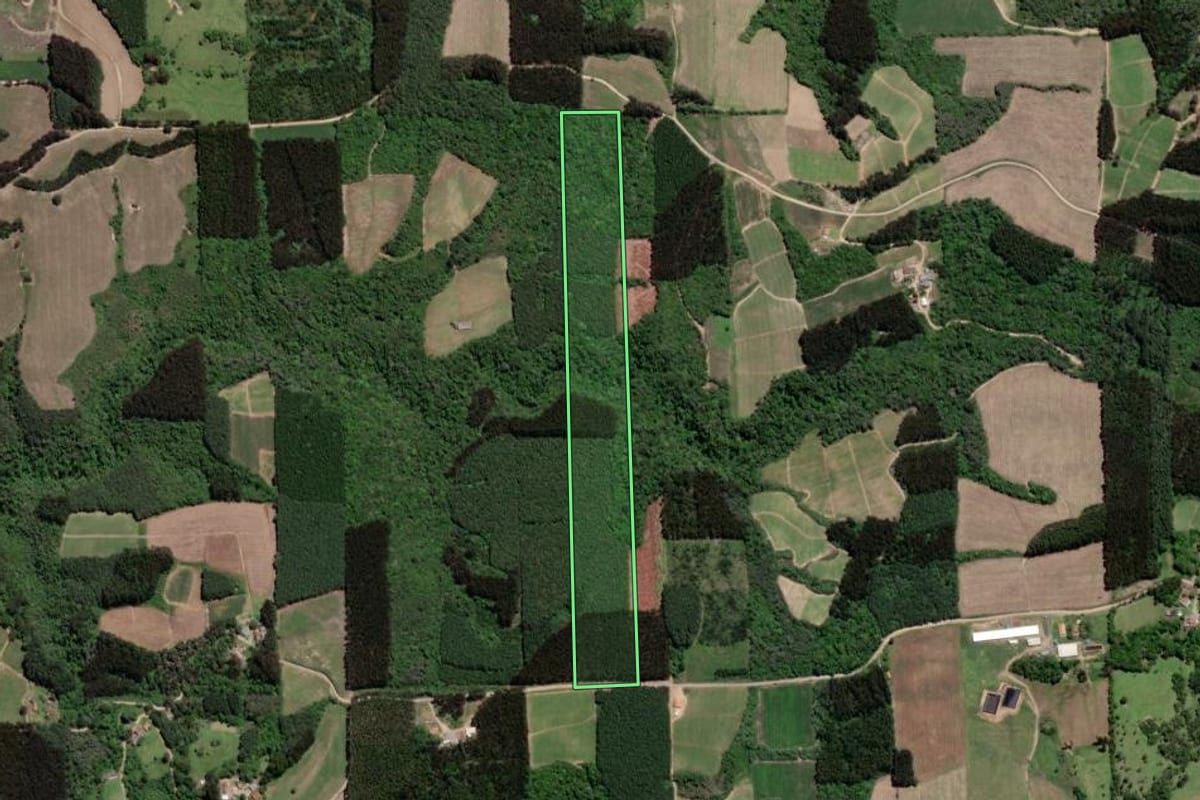 Imagem de satélite do imóvel rural em Itaiópolis (SC), com o contorno declarado no CAR desenhado por cima.