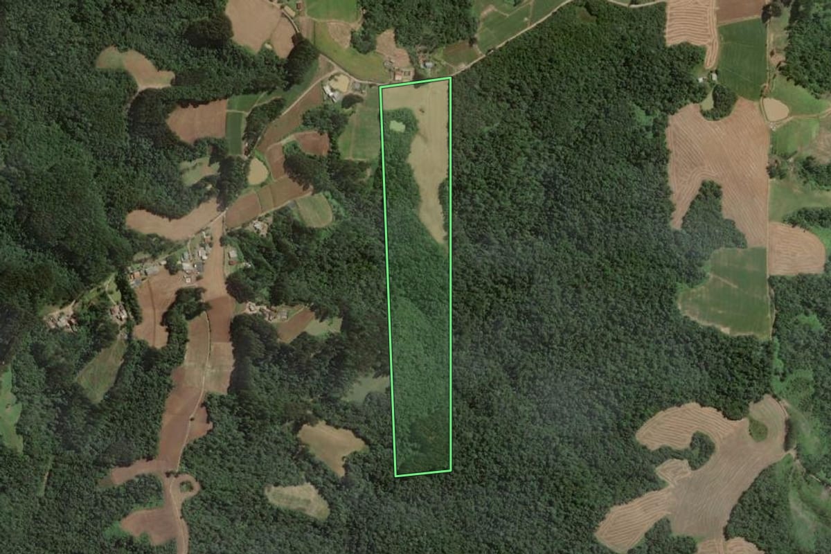 Imagem de satélite do imóvel rural em Itaiópolis (SC), com o contorno declarado no CAR desenhado por cima.