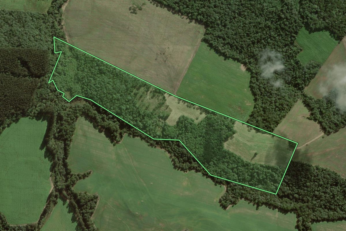 Imagem de satélite do imóvel rural em Itaiópolis (SC), com o contorno declarado no CAR desenhado por cima.