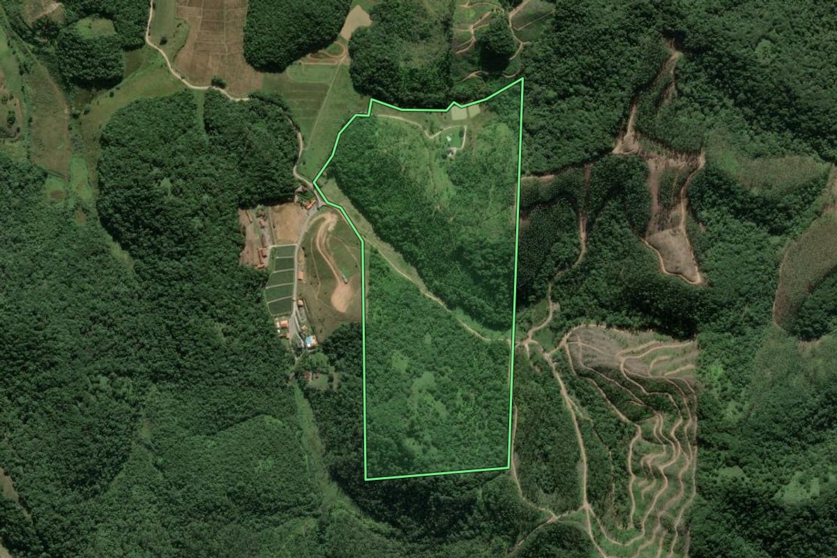 Imagem de satélite do imóvel rural em Itajaí (SC), com o contorno declarado no CAR desenhado por cima.