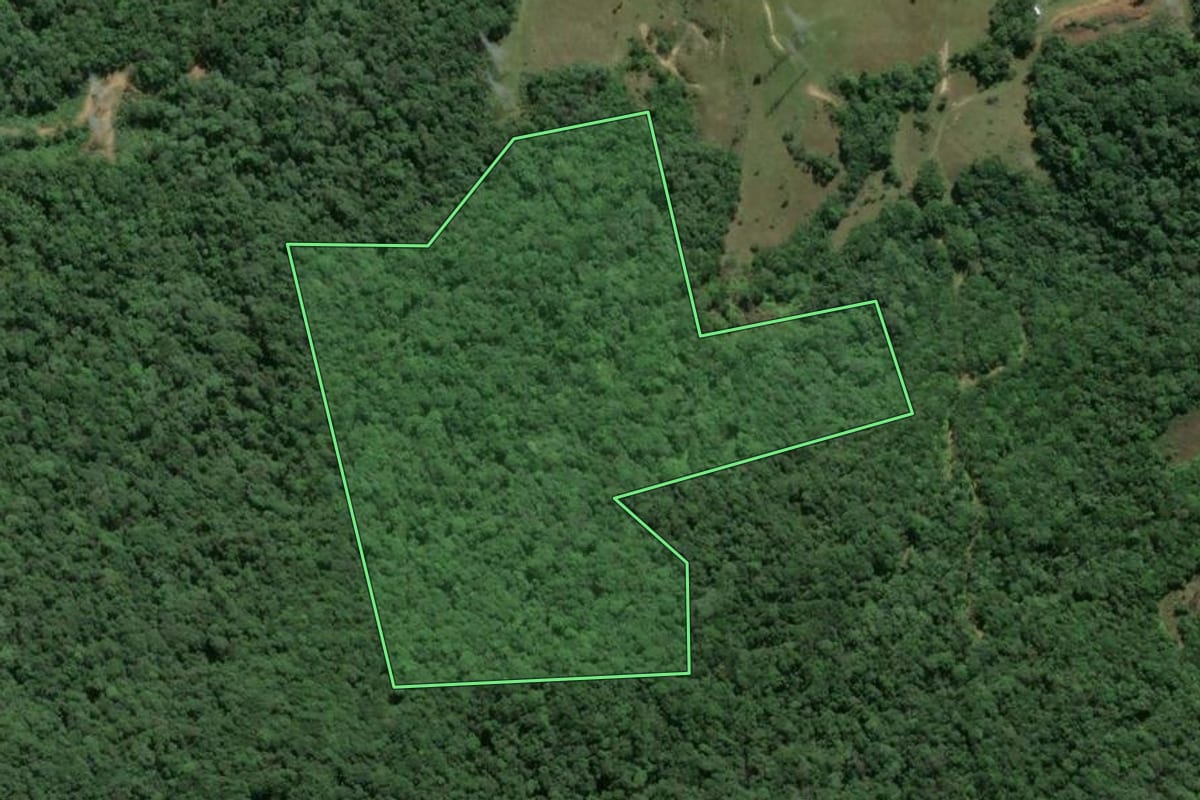 Imagem de satélite do imóvel rural em Itajaí (SC), com o contorno declarado no CAR desenhado por cima.