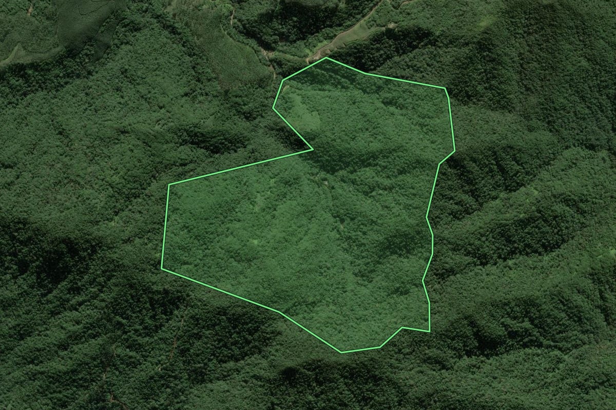 Imagem de satélite do imóvel rural em Itajaí (SC), com o contorno declarado no CAR desenhado por cima.