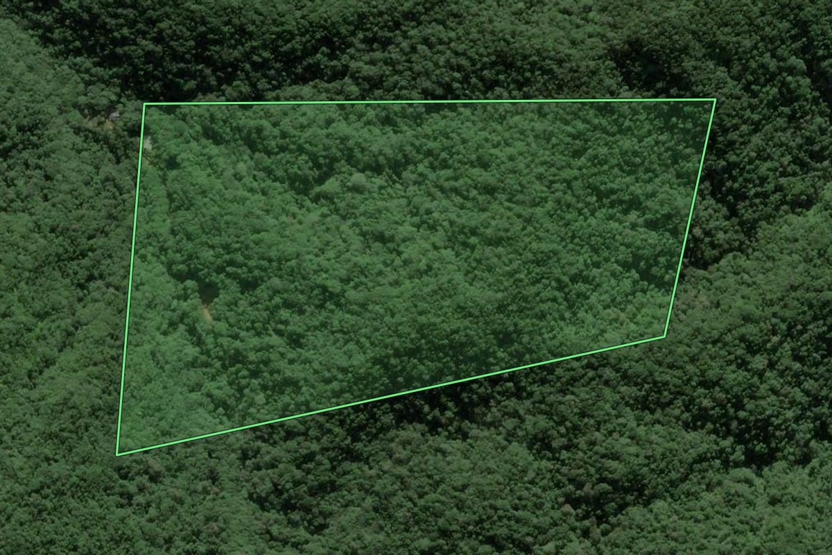 Imagem de satélite do imóvel rural em Itajaí (SC), com o contorno declarado no CAR desenhado por cima.