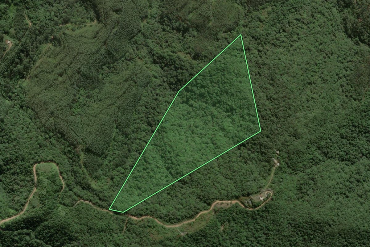 Imagem de satélite do imóvel rural em Itajaí (SC), com o contorno declarado no CAR desenhado por cima.
