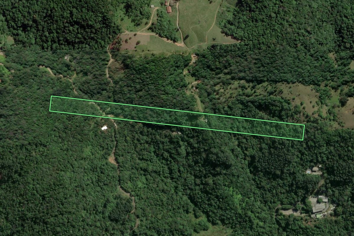 Imagem de satélite do imóvel rural em Itapema (SC), com o contorno declarado no CAR desenhado por cima.