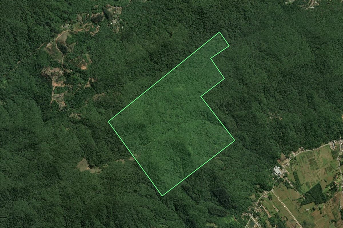 Imagem de satélite do imóvel rural em Itapema (SC), com o contorno declarado no CAR desenhado por cima.