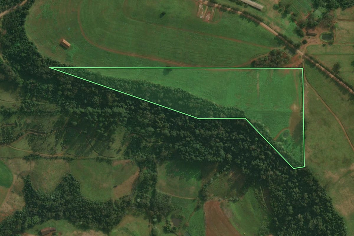 Imagem de satélite do imóvel rural em Itapiranga (SC), com o contorno declarado no CAR desenhado por cima.