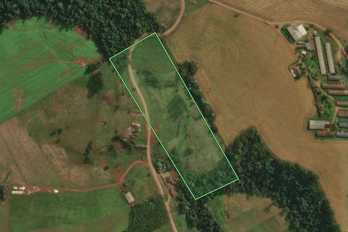 Imagem de satélite do imóvel rural em Itapiranga (SC), com o contorno declarado no CAR desenhado por cima.