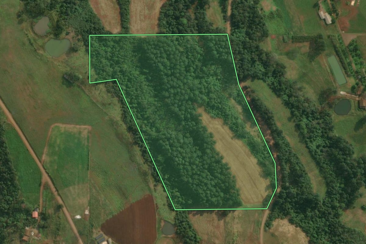 Imagem de satélite do imóvel rural em Itapiranga (SC), com o contorno declarado no CAR desenhado por cima.