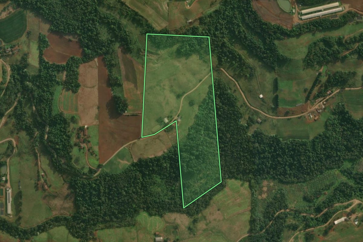 Imagem de satélite do imóvel rural em Itapiranga (SC), com o contorno declarado no CAR desenhado por cima.