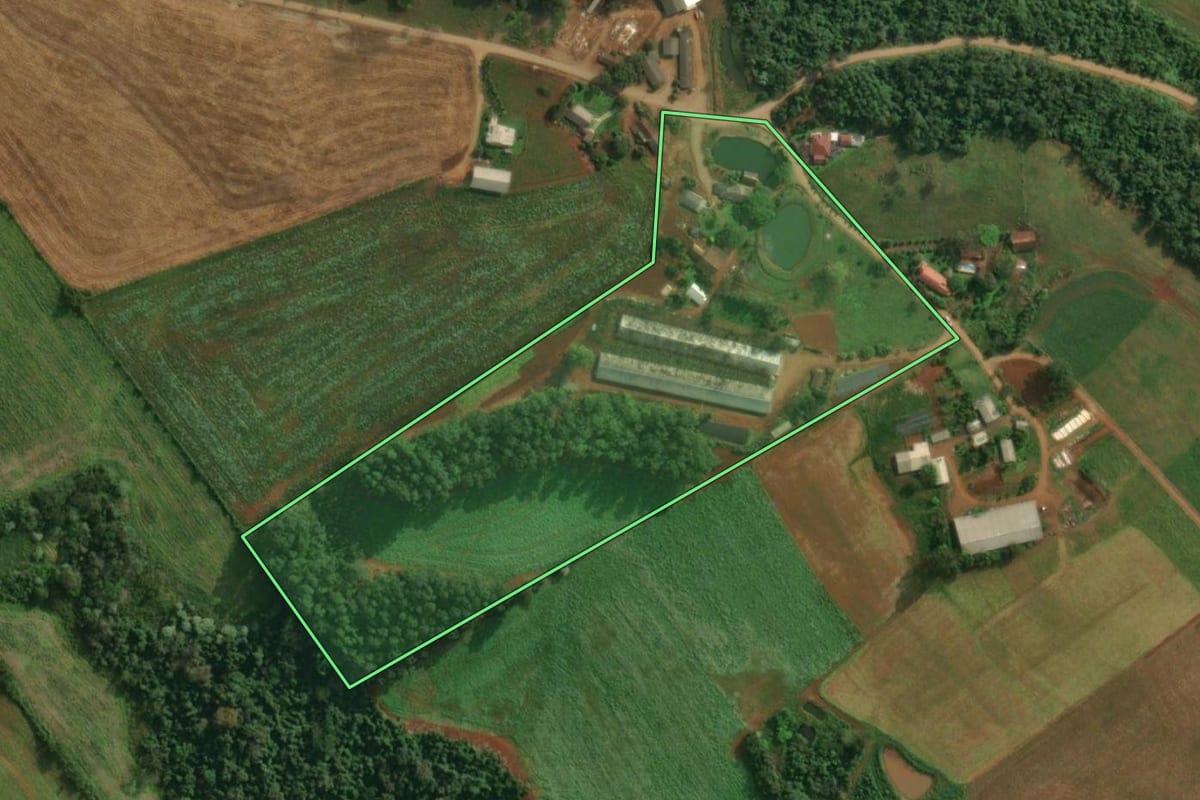Imagem de satélite do imóvel rural em Itapiranga (SC), com o contorno declarado no CAR desenhado por cima.