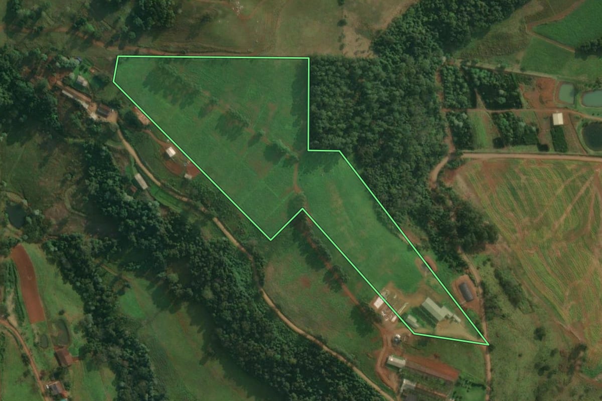 Imagem de satélite do imóvel rural em Itapiranga (SC), com o contorno declarado no CAR desenhado por cima.