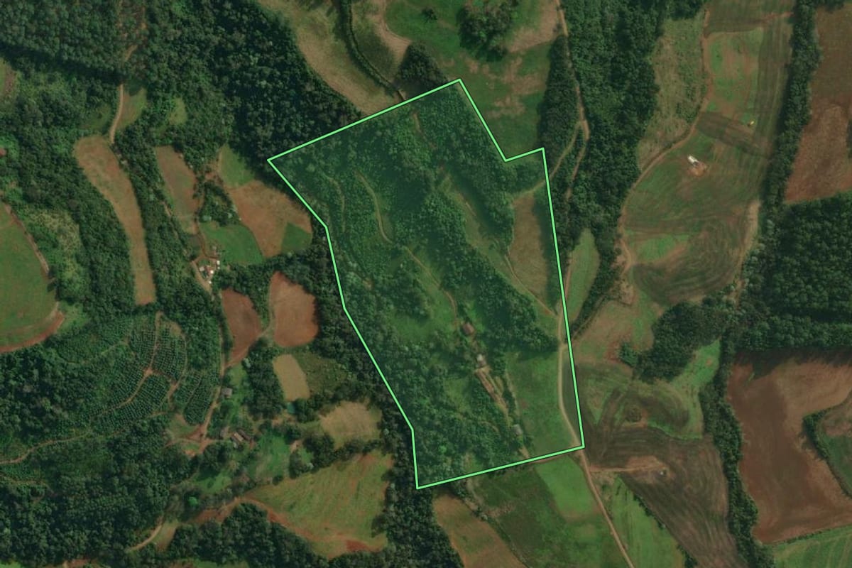 Imagem de satélite do imóvel rural em Itapiranga (SC), com o contorno declarado no CAR desenhado por cima.