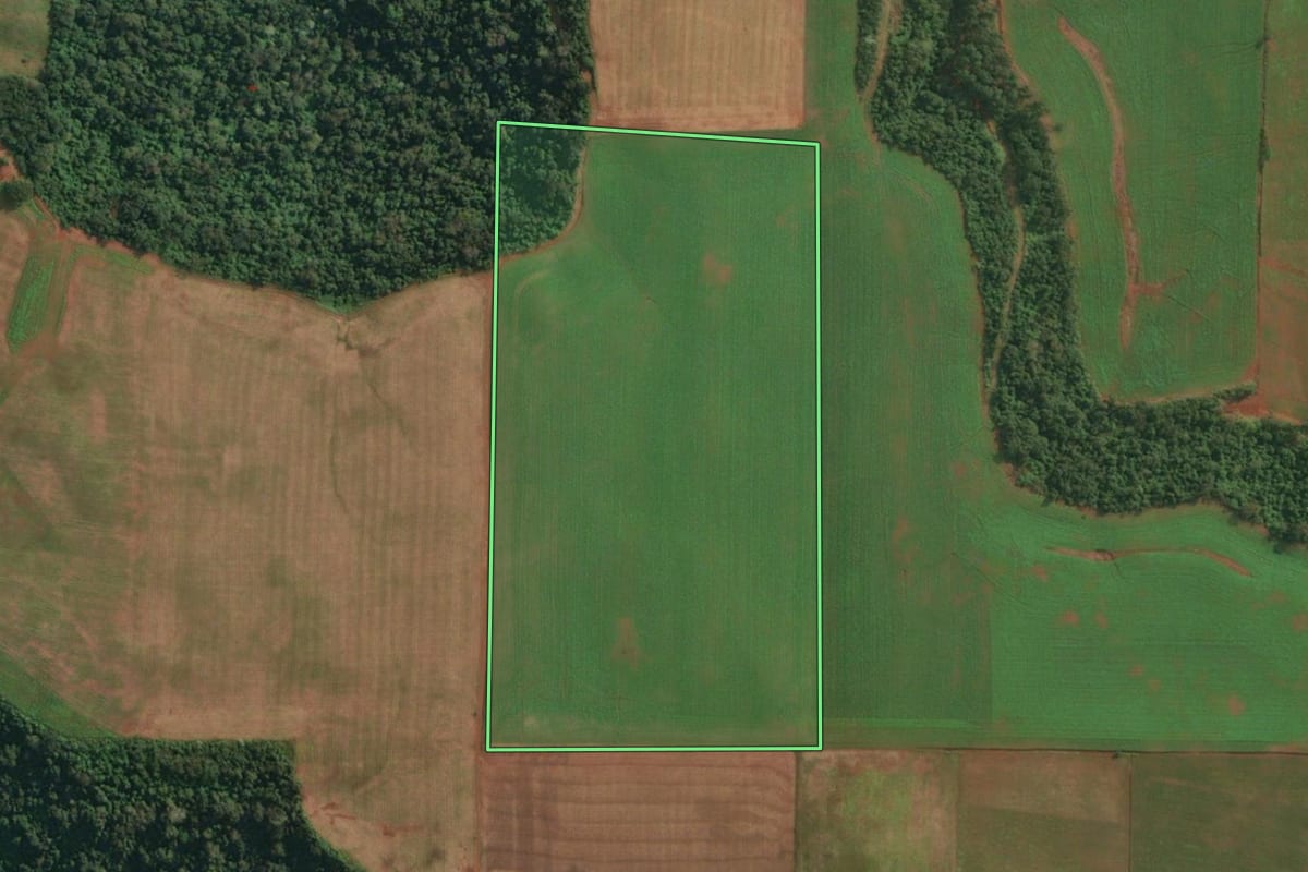 Imagem de satélite do imóvel rural em Itapiranga (SC), com o contorno declarado no CAR desenhado por cima.