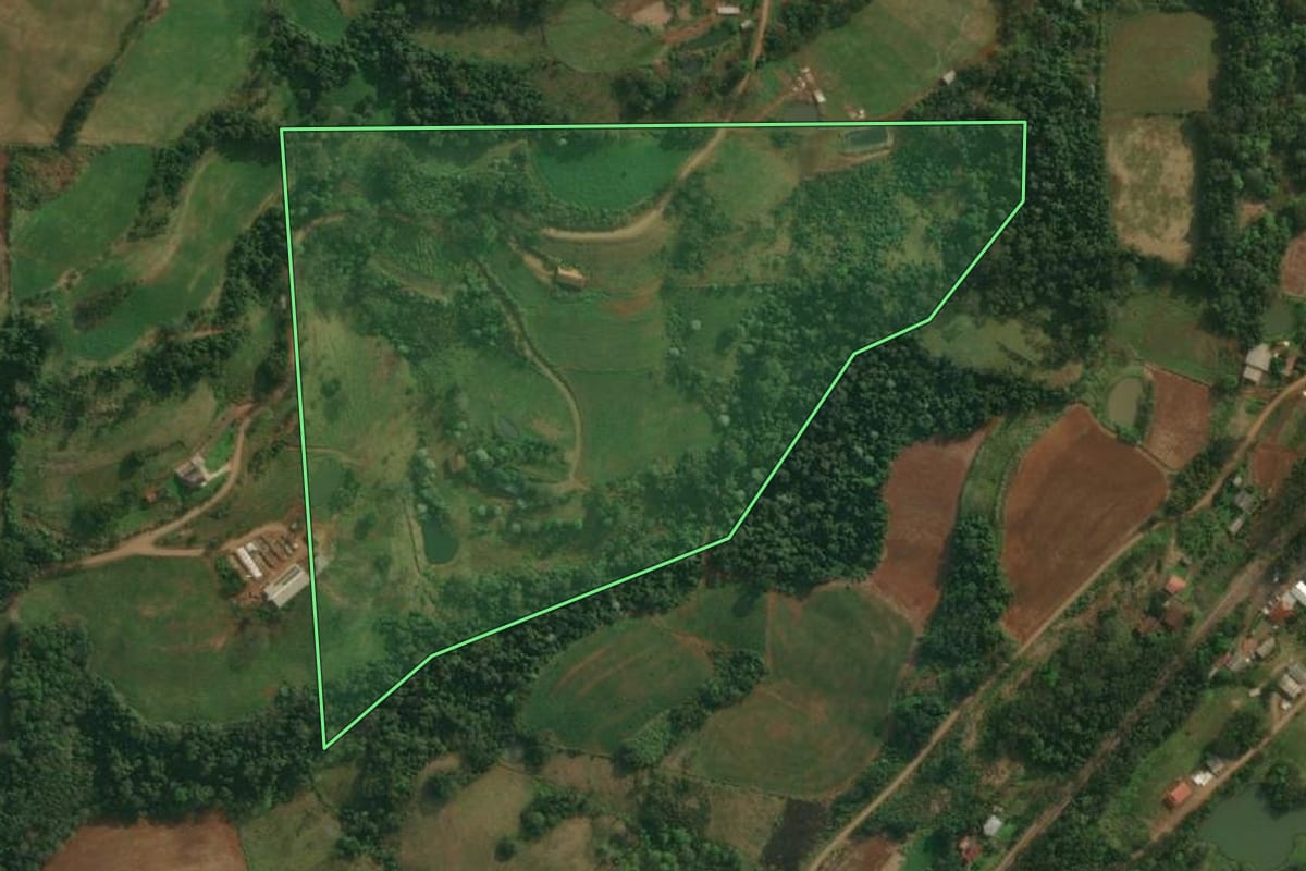 Imagem de satélite do imóvel rural em Itapiranga (SC), com o contorno declarado no CAR desenhado por cima.