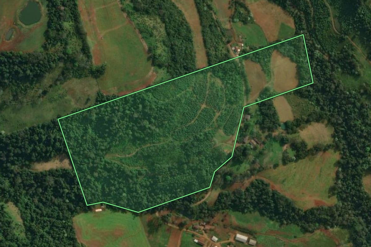 Imagem de satélite do imóvel rural em Itapiranga (SC), com o contorno declarado no CAR desenhado por cima.