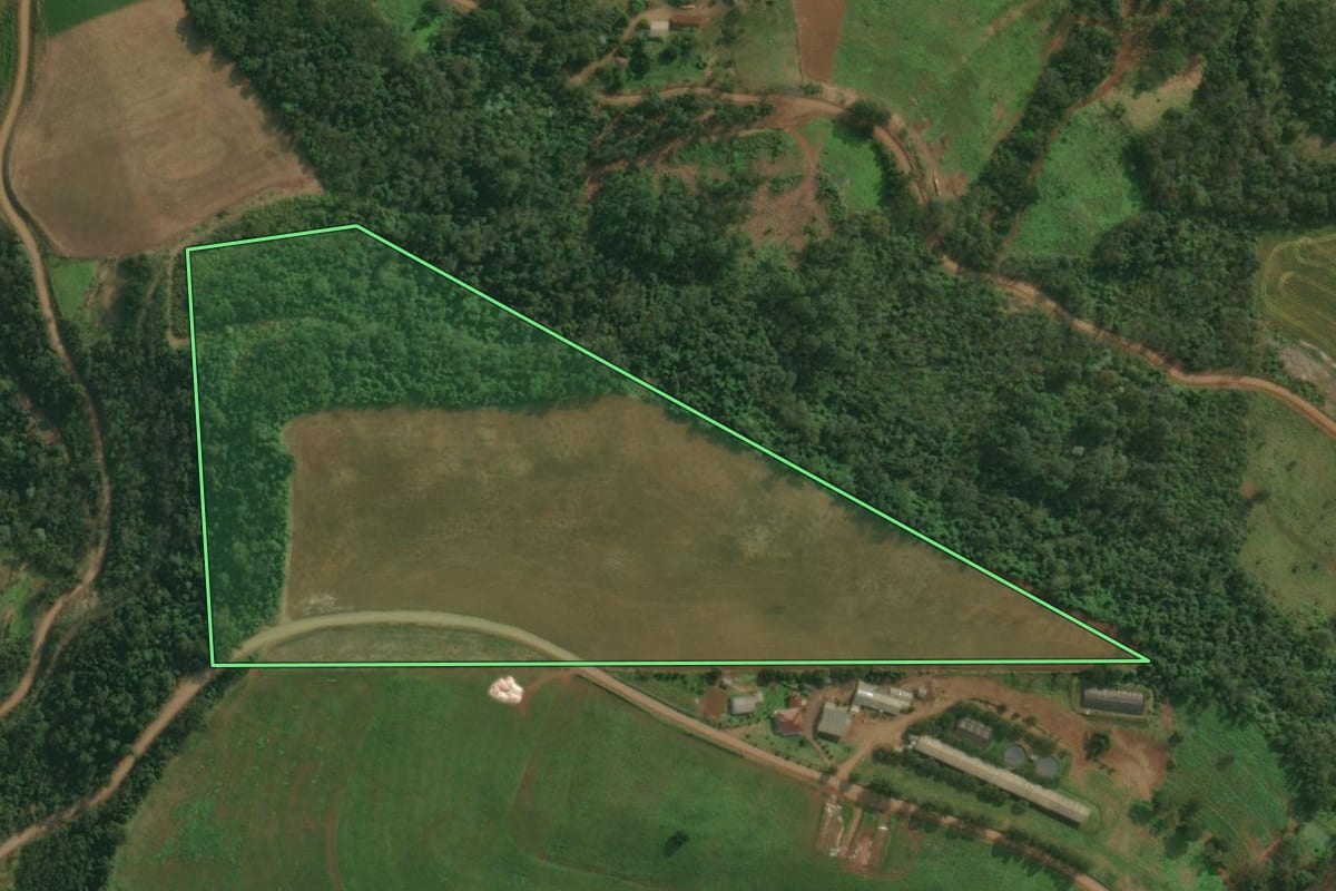 Imagem de satélite do imóvel rural em Itapiranga (SC), com o contorno declarado no CAR desenhado por cima.