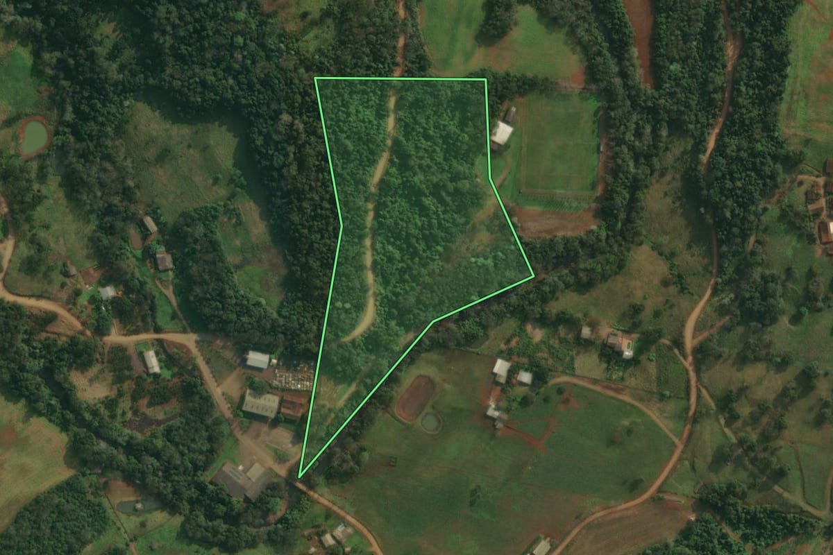 Imagem de satélite do imóvel rural em Itapiranga (SC), com o contorno declarado no CAR desenhado por cima.
