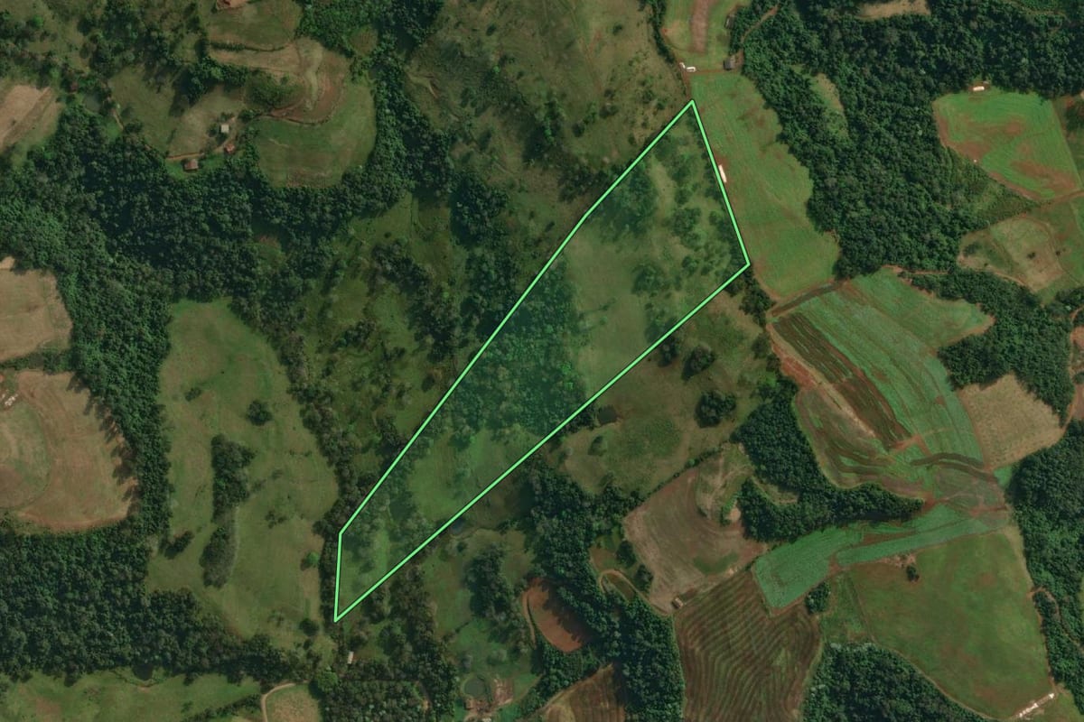 Imagem de satélite do imóvel rural em Itapiranga (SC), com o contorno declarado no CAR desenhado por cima.