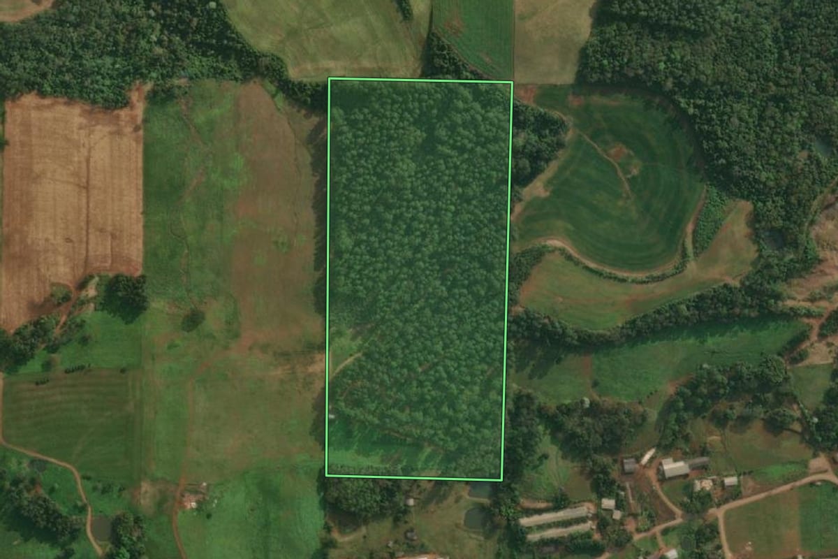 Imagem de satélite do imóvel rural em Itapiranga (SC), com o contorno declarado no CAR desenhado por cima.