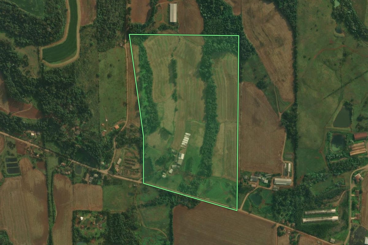 Imagem de satélite do imóvel rural em Itapiranga (SC), com o contorno declarado no CAR desenhado por cima.